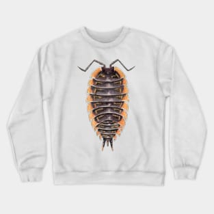 Trachelipus caucasus Isopod Crewneck Sweatshirt